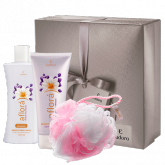 ESTOJO - BOUQUET DE FRÉSIA E VIOLETA ESPECIAL NAMORADOS